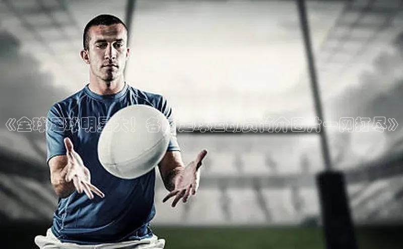星空手机网页版登录入口百度识图《全球足球明星大！各国足球运动员简介图片一网打尽》