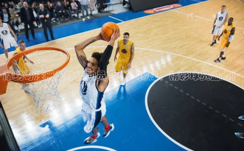 星空手机网页版登录入口轻美电器摩纳哥注册足球运动员名单大揭秘，精彩球员盘点！