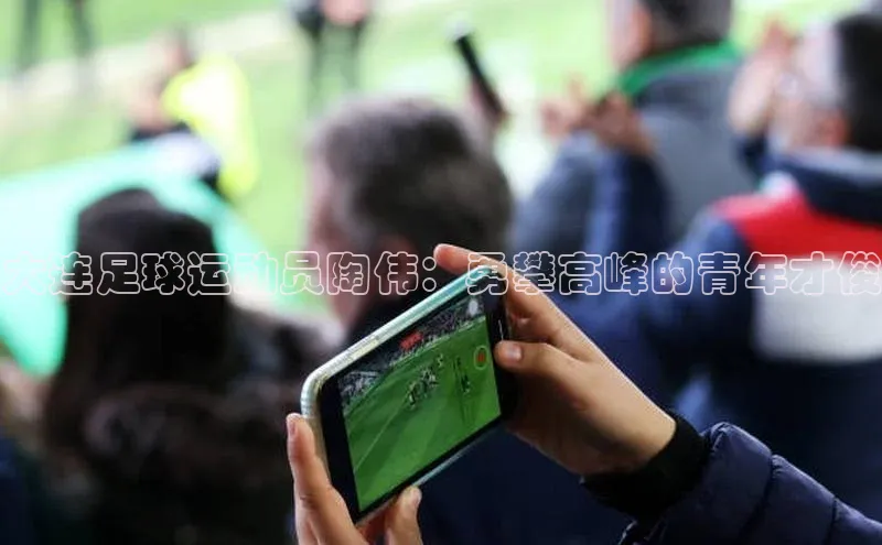 星空体育官网在线赛富乐斯大连足球运动员陶伟：勇攀高峰的青年才俊