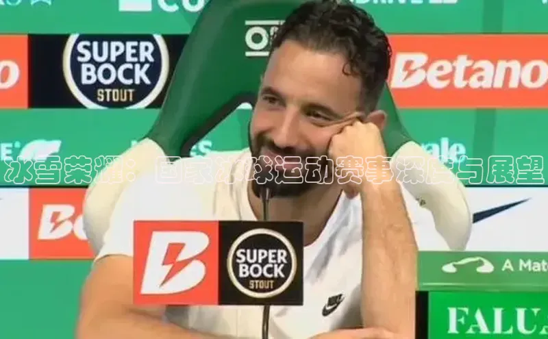 星空综合官网文心一言冰雪荣耀：国家冰球运动赛事深度与展望