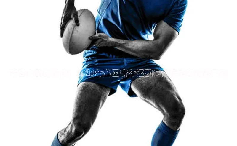 青春舞动的旋律：2023年全国青年运动会体操赛事精彩回顾