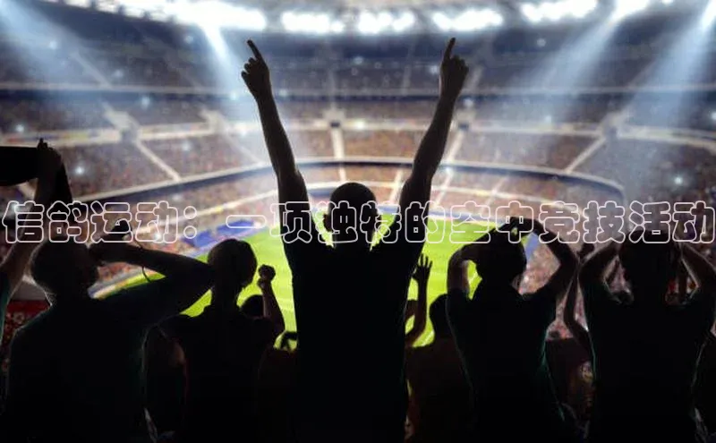 信鸽运动：一项独特的空中竞技活动