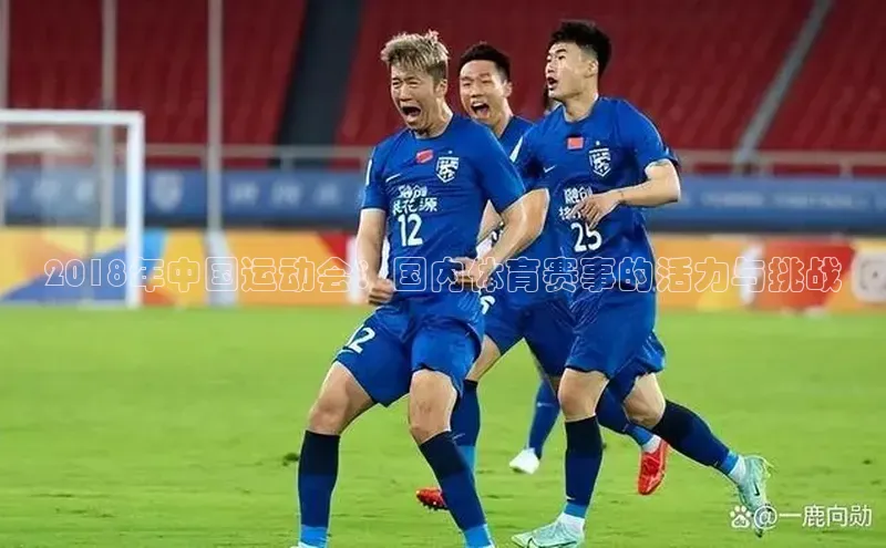 2018年中国运动会：国内体育赛事的活力与挑战