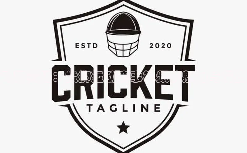 飞跃赛场：投掷运动赛事视频的魅力与深度