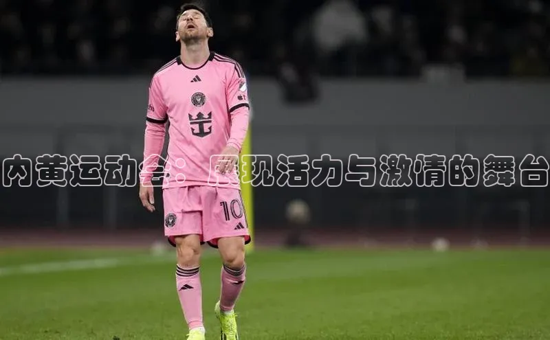 内黄运动会：展现活力与激情的舞台