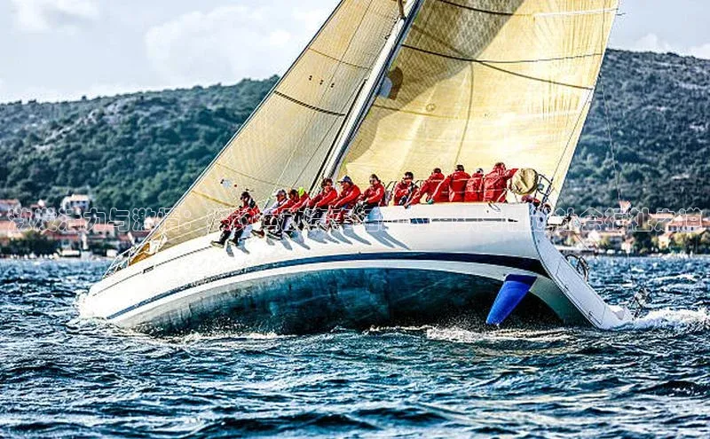 激发活力与激情：探讨运动赛事活动的组织与促进社会福祉之道