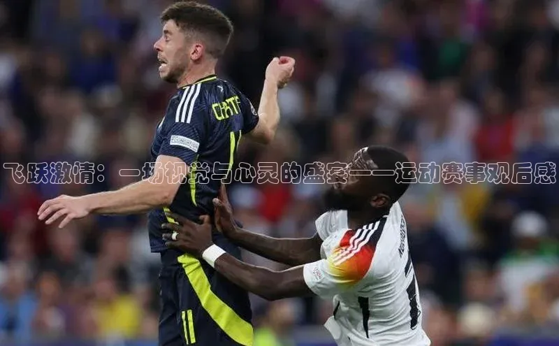 飞跃激情：一场视觉与心灵的盛宴——运动赛事观后感
