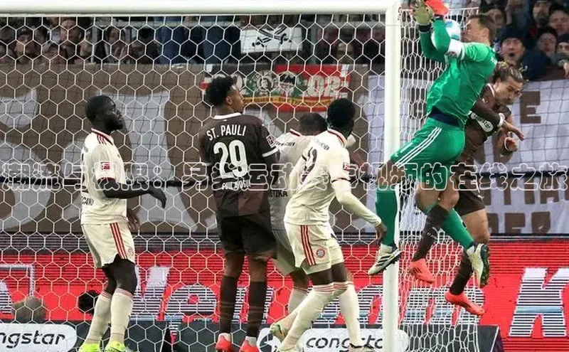 潮流与极限：另类运动赛事视频的在线之旅