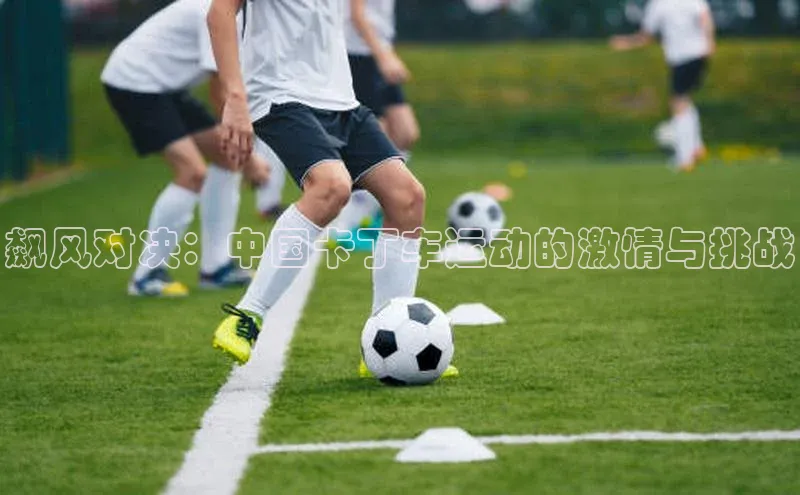 飙风对决：中国卡丁车运动的激情与挑战