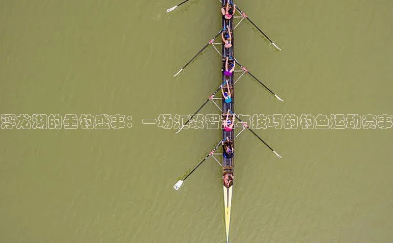 浮龙湖的垂钓盛事：一场汇聚智慧与技巧的钓鱼运动赛事