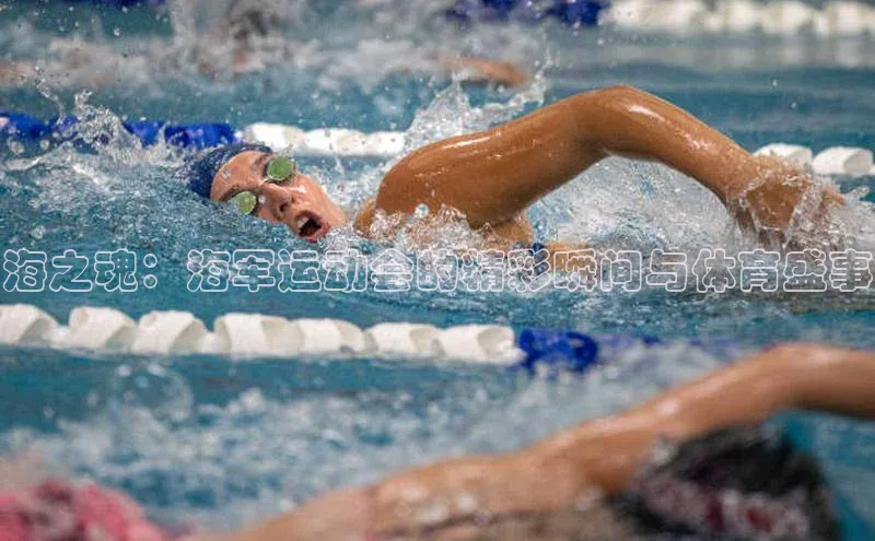 海之魂：海军运动会的精彩瞬间与体育盛事