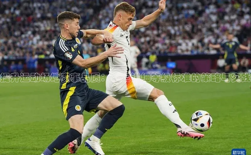 提升运动场地赛事品质：制定详细等级标准的策略与实践