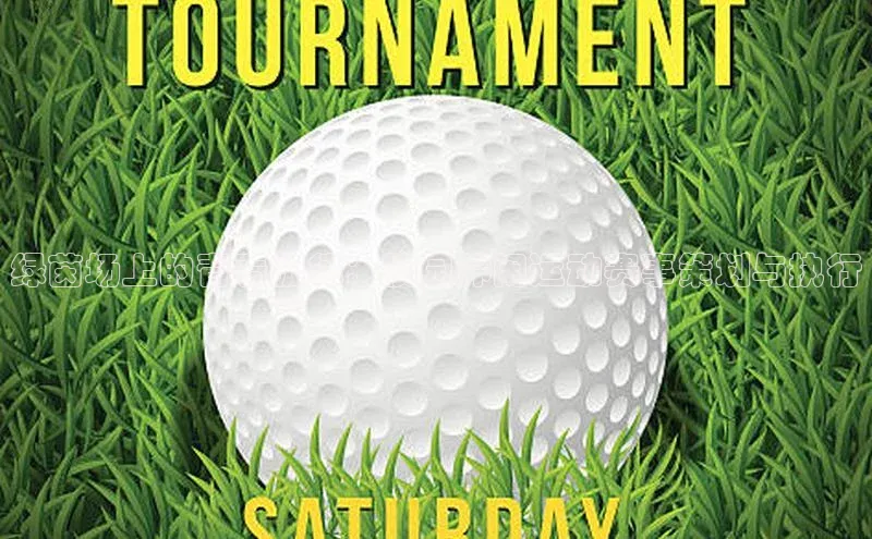 绿茵场上的青春旋律：校园休闲运动赛事策划与执行