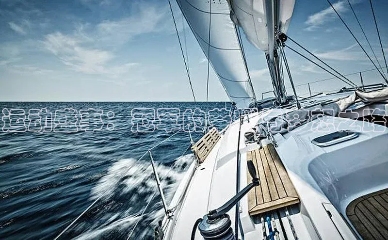 运动盛事：冠军的荣耀与梦想之路