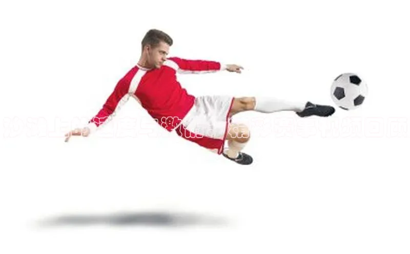 星空综合(中国)官方网站官网