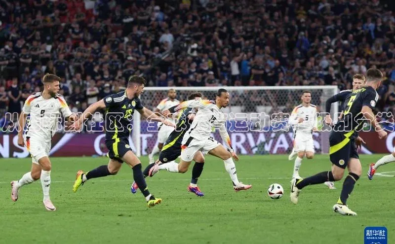 从国际到社区：全球体育运动赛事级别分类