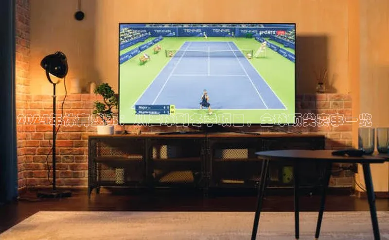 2024年体育盛事：从足球到冬季项目，全球顶尖赛事一览