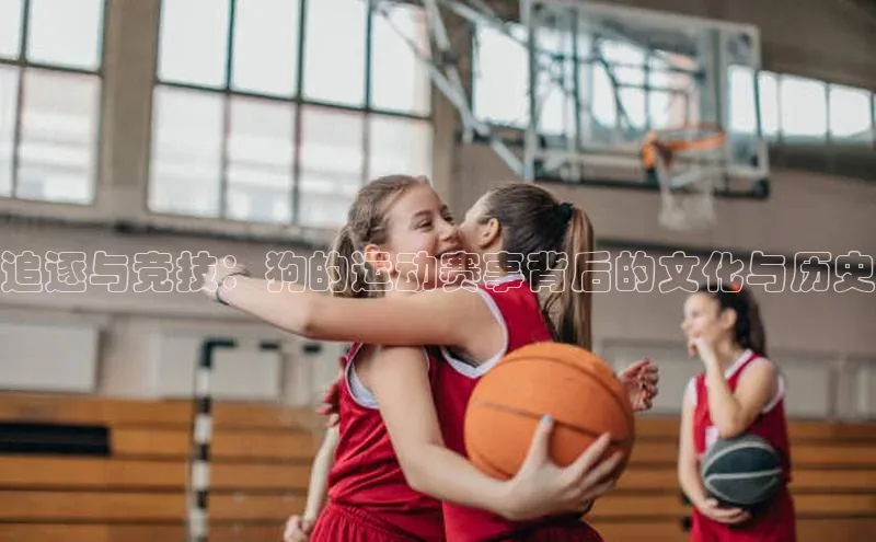 星空体育在线网页版APP下载